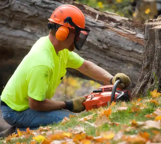 tree services Springville